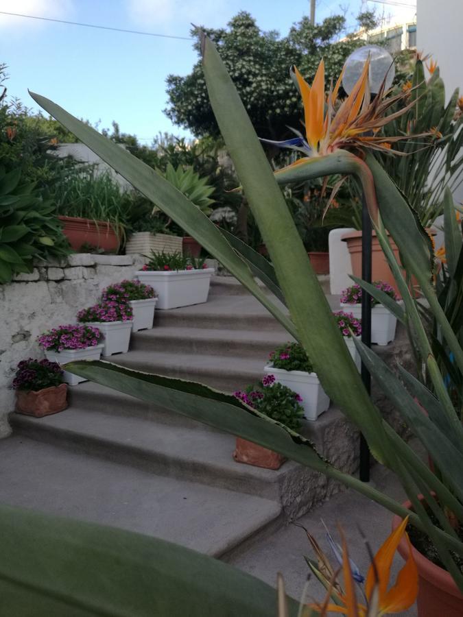 Villa Loreta Forio di Ischia Kültér fotó