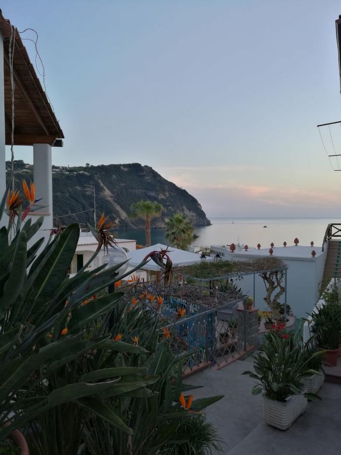 Villa Loreta Forio di Ischia Kültér fotó