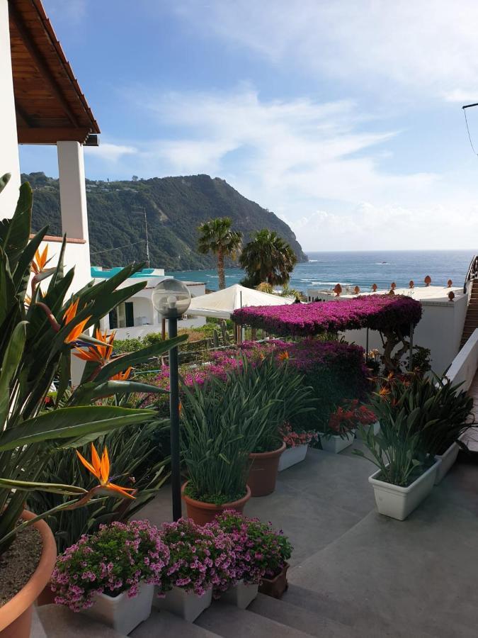 Villa Loreta Forio di Ischia Kültér fotó